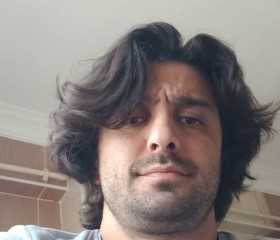 Bülent, 33 года, Naaldwijk