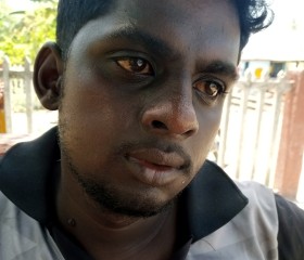 Viji Viki.g, 20, Palakkodu