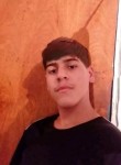 Eliseu, 20 лет, Santo André