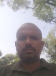k s s, 35 лет, Jaipur