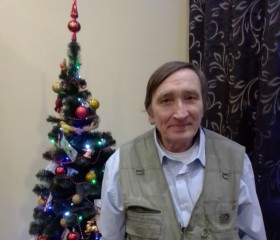 Степанс, 66 лет, Санкт-Петербург