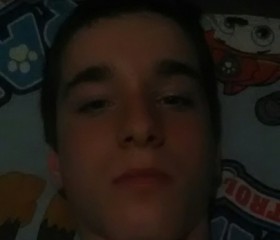 maximekenzo, 25, Ninove