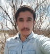 Dariush