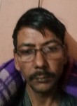 Surjeet Verma, 41 год, New Delhi