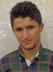 Arshad, 33 года, Аршань