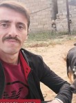 Ramin, 28 лет, Bakı