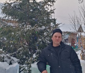 Николай, 45 лет, Плесецк