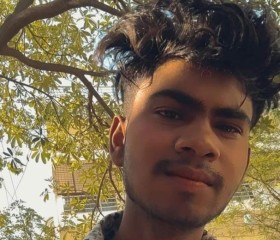 Kartik, 21 год, Faridabad