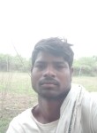 Ashish Shri Ram, 28 лет, Nagpur