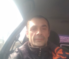 Евгений Тришкин, 44 года, Москва