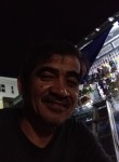 Ramil mendoza, 55 лет, San Pedro