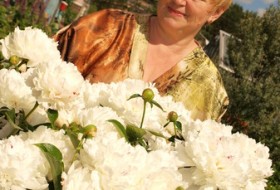 Ольга, 62 - Июнь, цветут пионы!!!