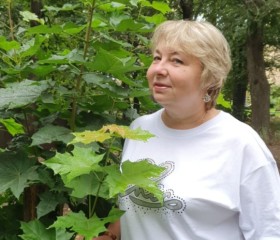 Элина, 60 лет, Раменское