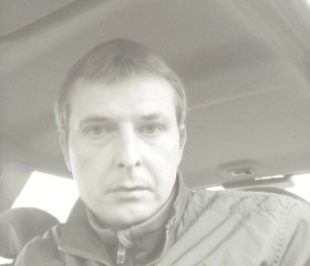 Денис Новиков, 39 лет, Москва
