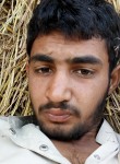 Kashif, 23 года, اسلام آباد