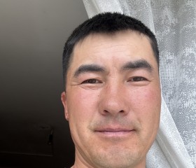Urmatbek koshbaev, 36, Bishkek