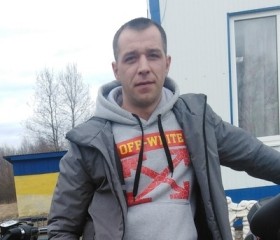 Nikolaevich, 35 лет, Двинской Березник