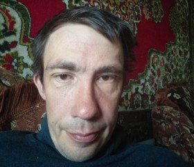 Dmitriy, 44, Ust-Kishert