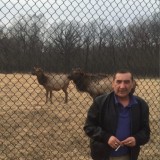 Olimjon, 62  , Buffalo Grove