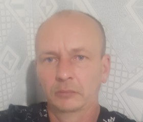 Андрей Суслов, 43 года, Свирск