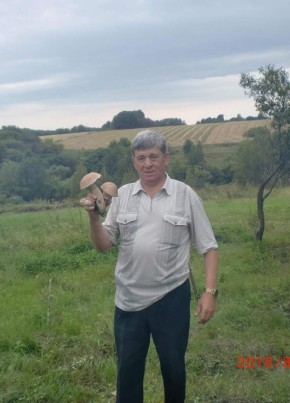 Алексей, 64, Россия, Тула