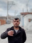 Tayfun, 33 года, Ankara