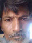 Pratap, 26 лет, Morvi