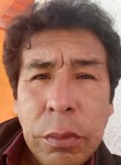 Miro Williams Pe, 43 года, Oruro