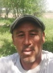 Ильдар Масимов, 45 лет, Бишкек