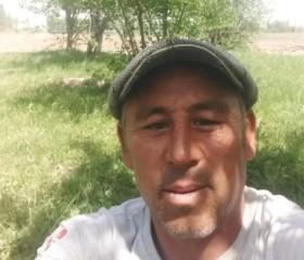 Ильдар Масимов, 45 лет, Бишкек
