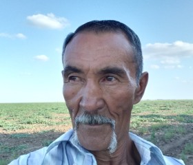 Барис Талканбаев, 64 года, Волгоград