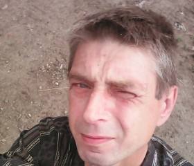 Павел, 54 года, Москва
