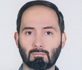 Hassan Najafi, 46, Tehran
