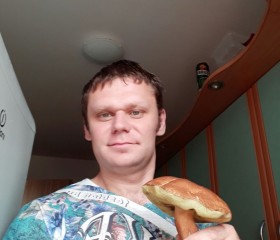 Maksim Kononen, 40 лет, Wejherowo