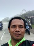 Rico, 36 лет, Bagong Pagasa