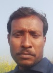 Kamlesh dheemar, 37 лет, Panna