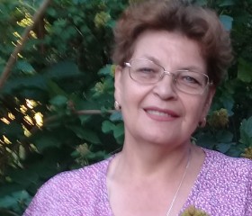Ольга, 66 лет, Димитровград