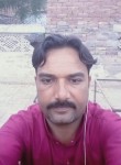 Nasir Ramzan, 38 лет, Ashburn