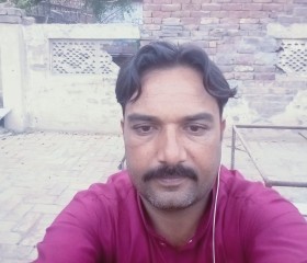 Nasir Ramzan, 37 лет, Ashburn