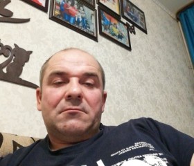 Александр, 46 лет, Грибановский