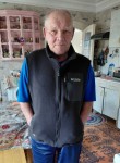 Gennadiy, 78, Chelyabinsk