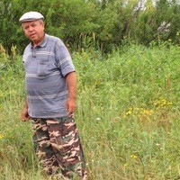 Рашит, 65, Россия, Калтан