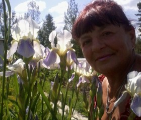 Екатерина, 65 лет, Березовский