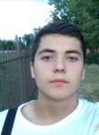 Рустам, 24 года, Краснодар
