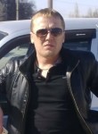 Андрей, 43 года, Тула