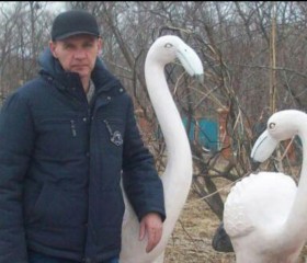Николай, 54 года, Владивосток