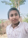 Harsha vardhan, 18 лет, Nellore