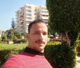, مصطفى, 37, Alexandria