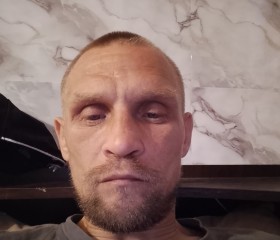 Sergey, 35, Vyborg