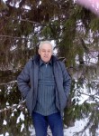 Владимир, 65 лет, Казань